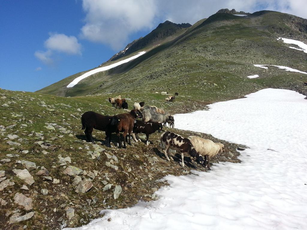 Ferienhaus Eiter Sankt Leonhard im Pitztal Exterior foto